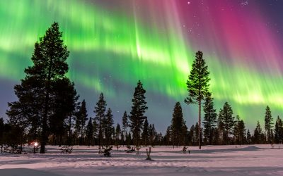 Stargazing and Winter Adventures: Your Guide to January in the Lake Vermilion Area