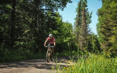 Springtime Adventures Await at Lake Vermilion