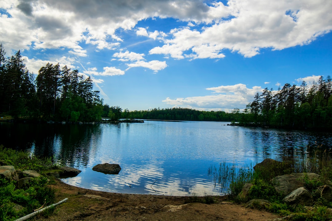 featured-image